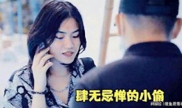 国产在线偷,揭秘网络盗版产业链的暗流涌动