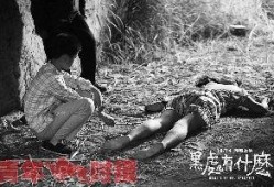 国产老熟,传承与创新中的民族品牌风采