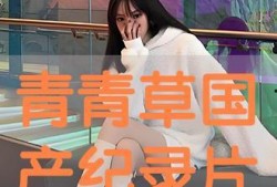 青青草国产自,本土原创影视的崛起之路