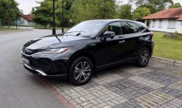 91p国产,揭秘神秘东方古国的历史与文化