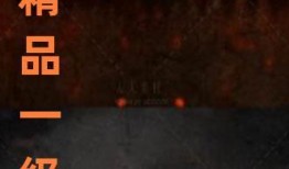 国产一级直播,揭秘国内直播行业的崛起与魅力