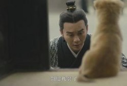 国产男人的天堂,男人的天堂，情感与激情的完美融合