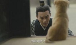 国产男人的天堂,男人的天堂，情感与激情的完美融合