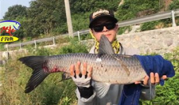 青鱼视频国产在线,国产在线影视盛宴，尽享视听盛宴