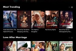 国产在线中文,引领潮流的文化盛宴