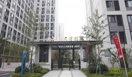 国产社区,构建和谐共生的网络家园